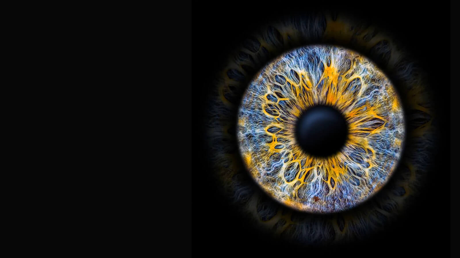 iris photo art fotografisanje zenice sarenice srbija