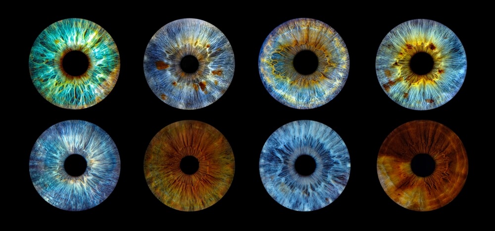 Iris fotografije