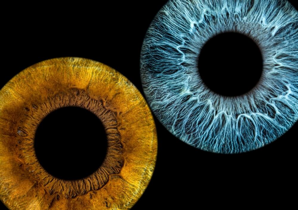 Poklon za godišnjicu