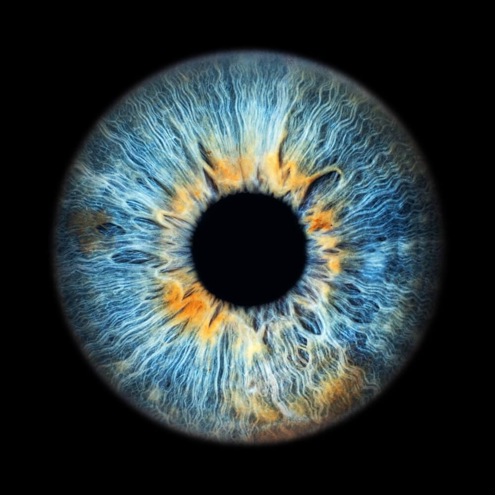 Zašto ljudi slikaju iris