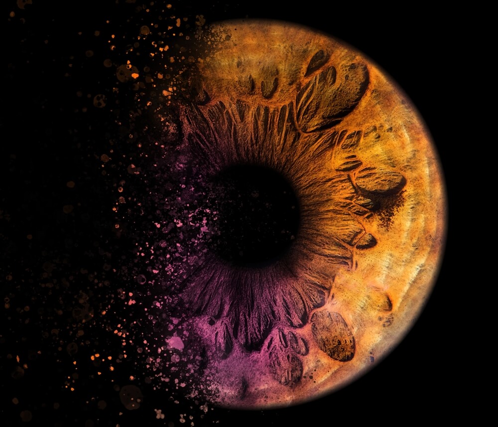 Zašto ljudi slikaju iris