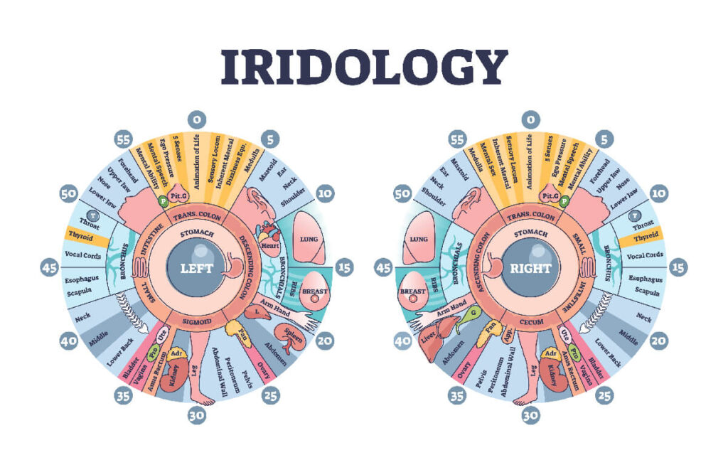 iridologija analiza oka zdravlje
